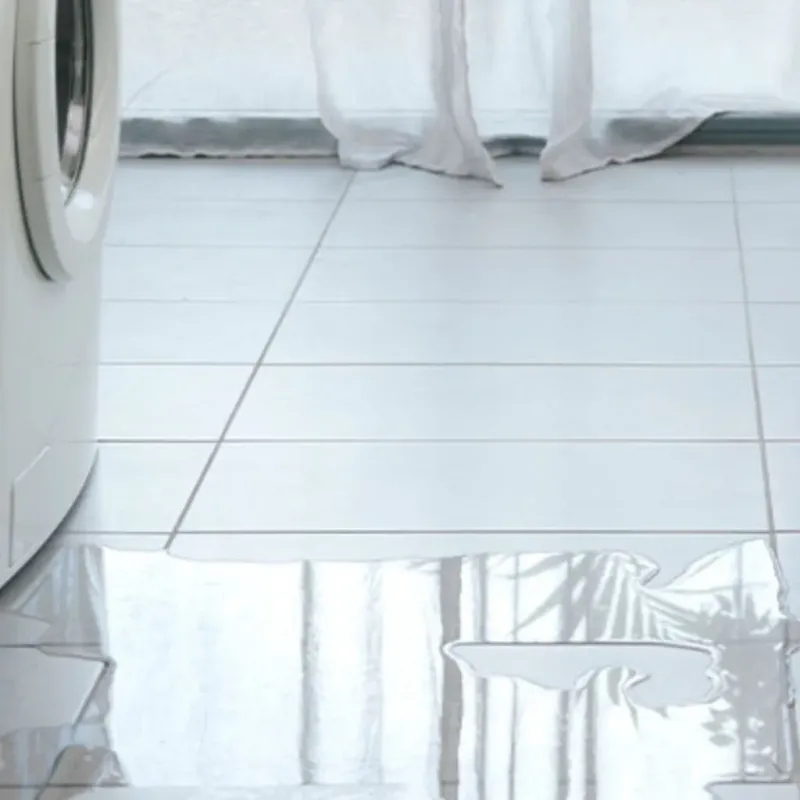 Appliance Leak Cleanup in Inverness, FL