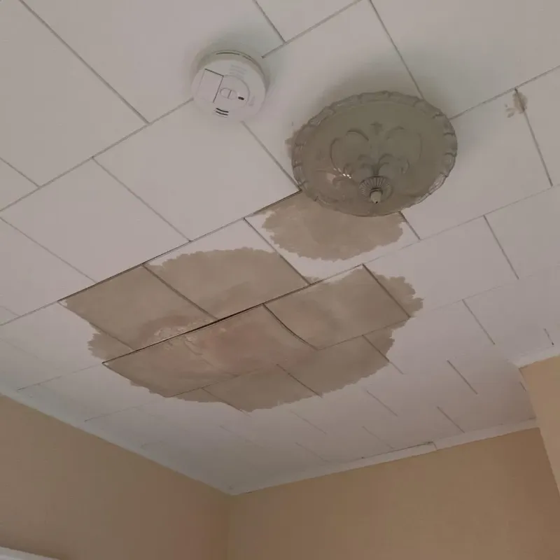 Ceiling Water Damage Repair in Inverness, FL
